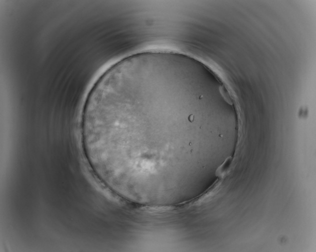 X0000101150864200807111004