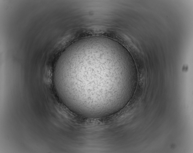 X0000101150866200807111003