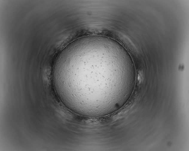 X0000101150867200807111003