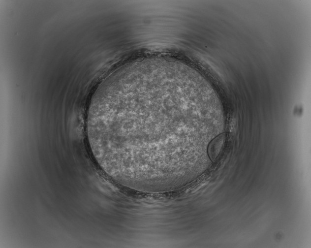 X0000101150868200807111003