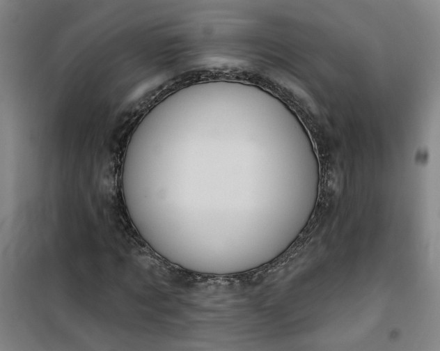 X0000101150869200807111003