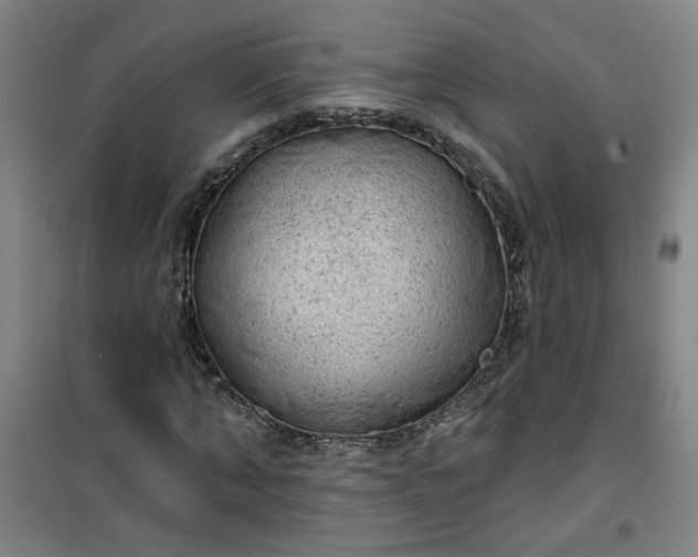 X0000101150870200807111003