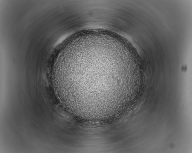 X0000101150871200807111003