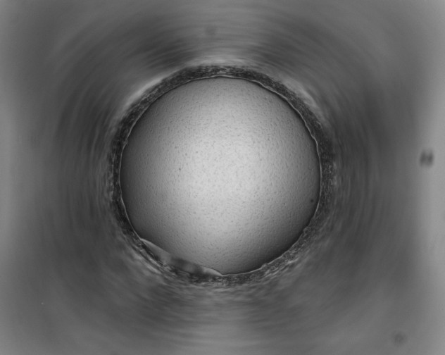 X0000101150872200807111003