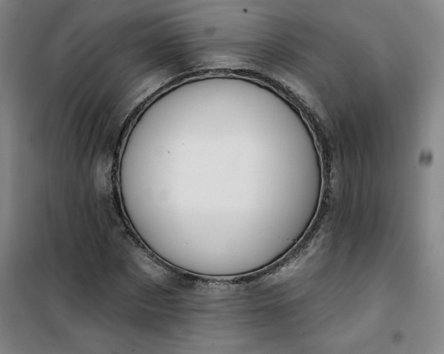 X0000101150873200807111003