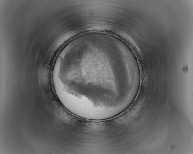 X0000101150874200807111003