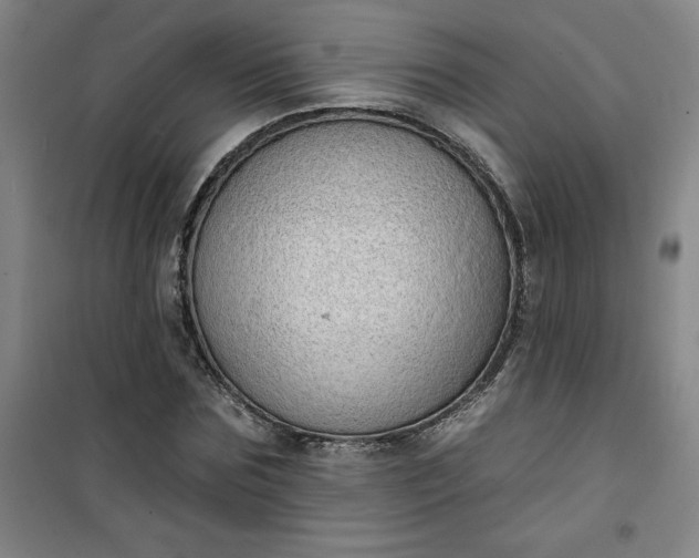 X0000101150875200807111003