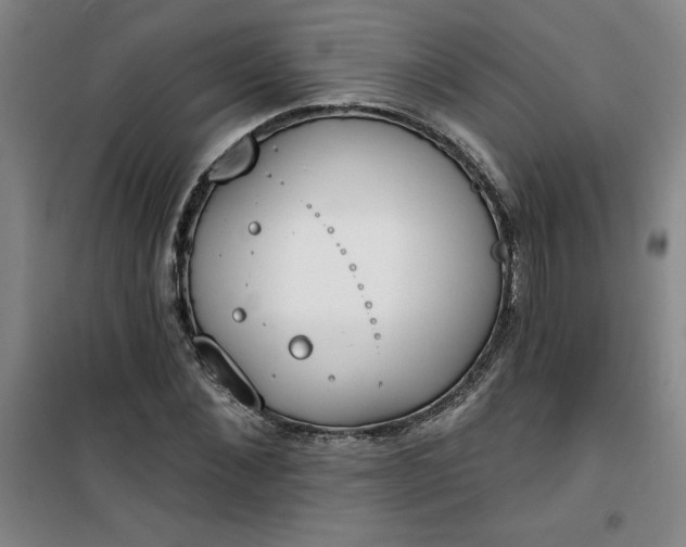 X0000101150876200807111003