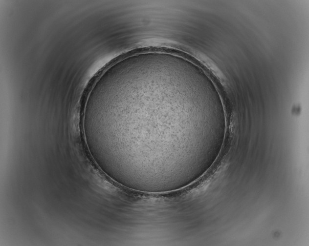 X0000101150877200807111003