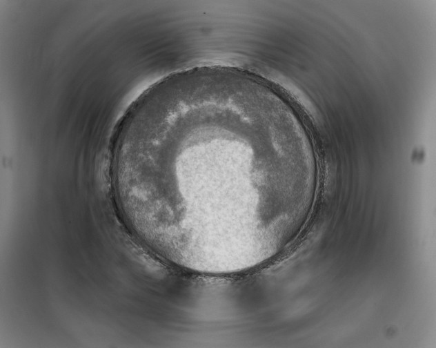 X0000101150878200807111003