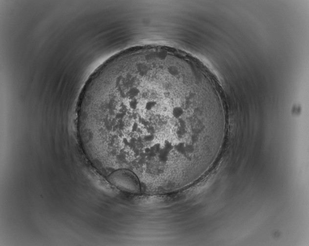 X0000101150879200807111003