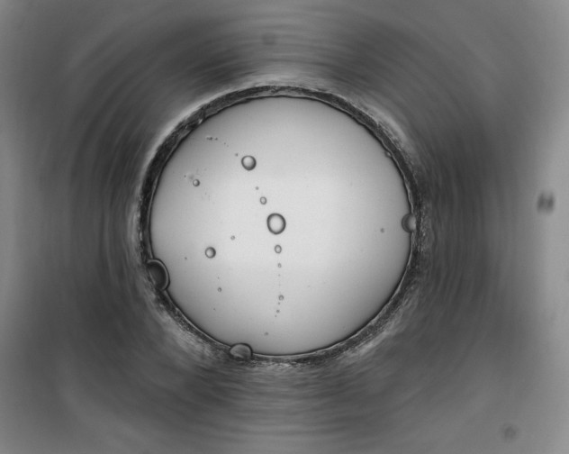 X0000101150880200807111003