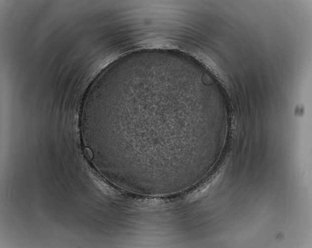 X0000101150881200807111003