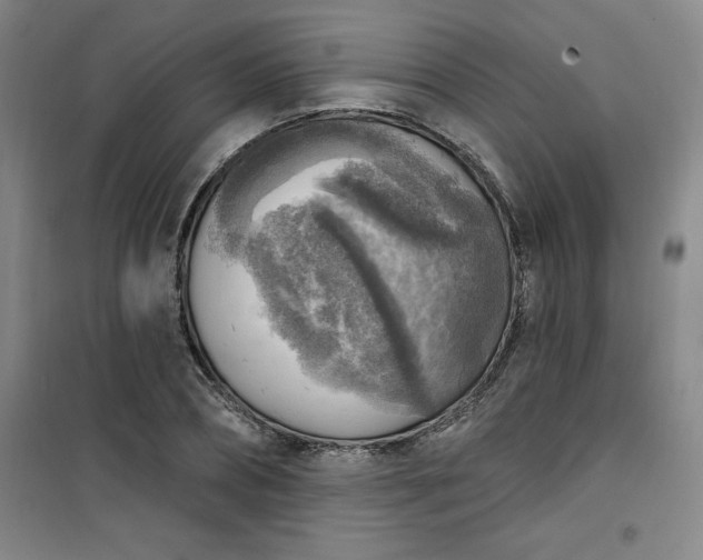 X0000101150882200807111003