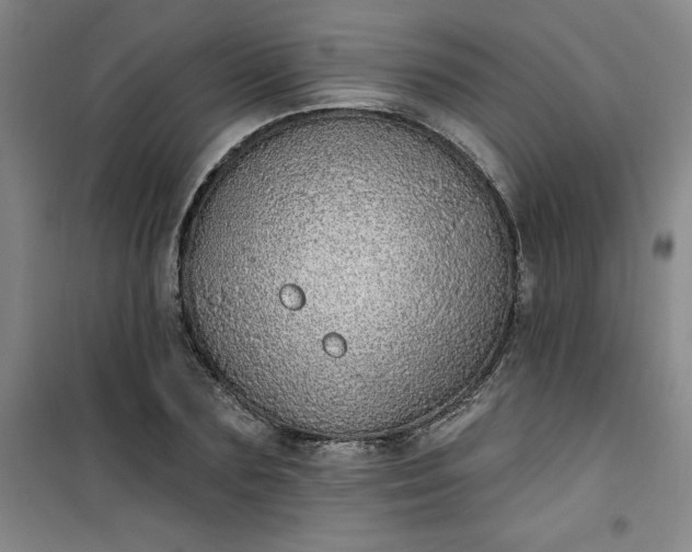 X0000101150883200807111003