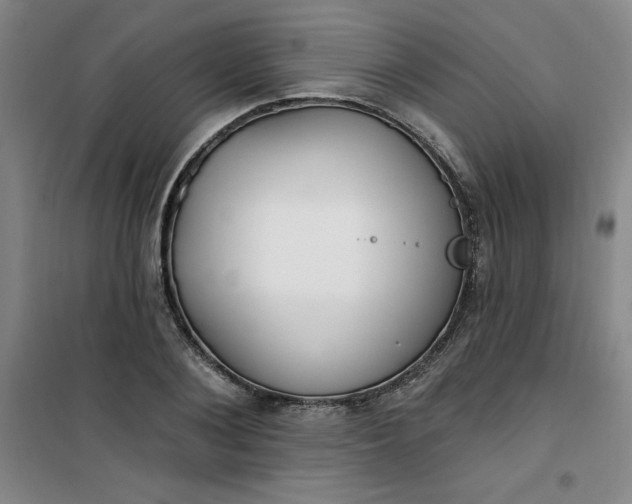 X0000101150884200807111003