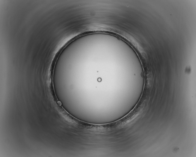 X0000101150885200807111003