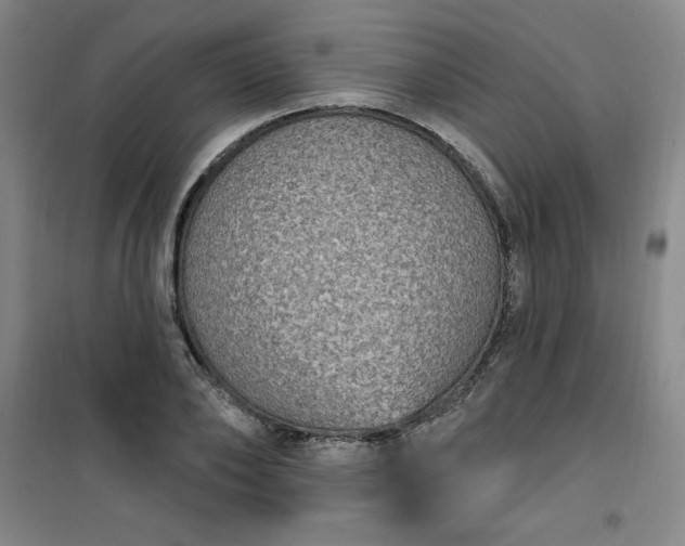 X0000101150886200807111003