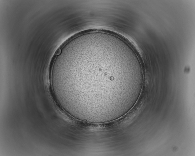 X0000101150887200807111003