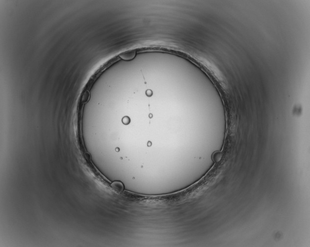 X0000101150888200807111003