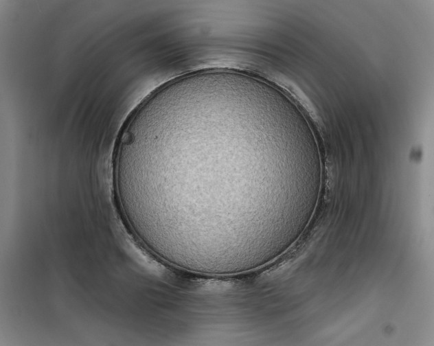 X0000101150890200807111003