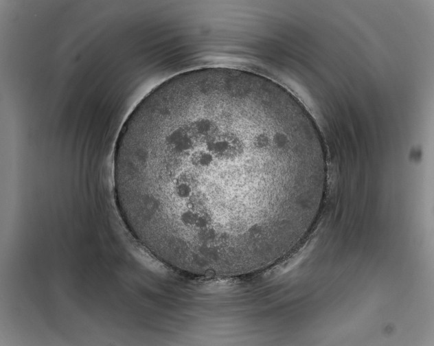 X0000101150891200807111003