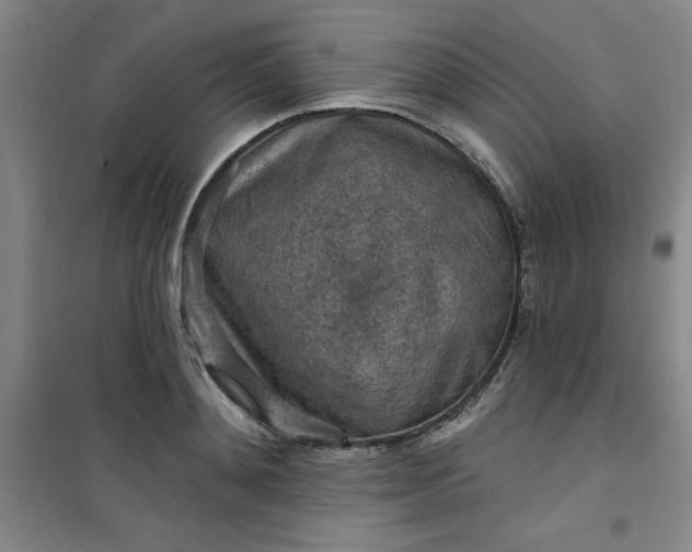 X0000101150892200807111003