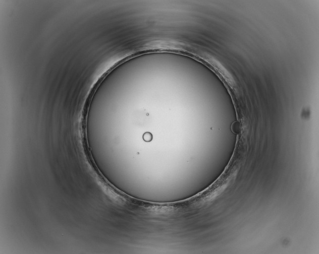 X0000101150893200807111003