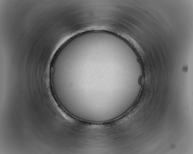 X0000101150894200807111003