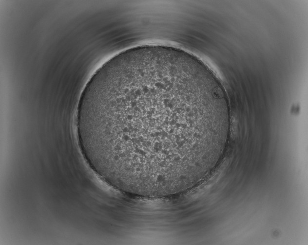 X0000101150895200807111003