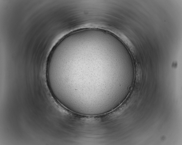 X0000101150896200807111003