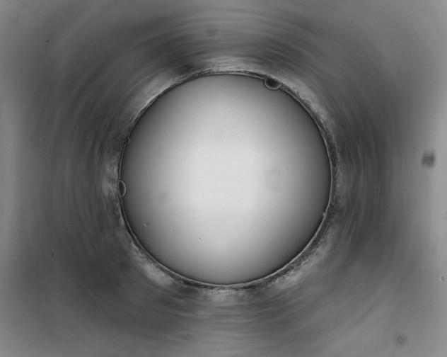 X0000101150897200807111003