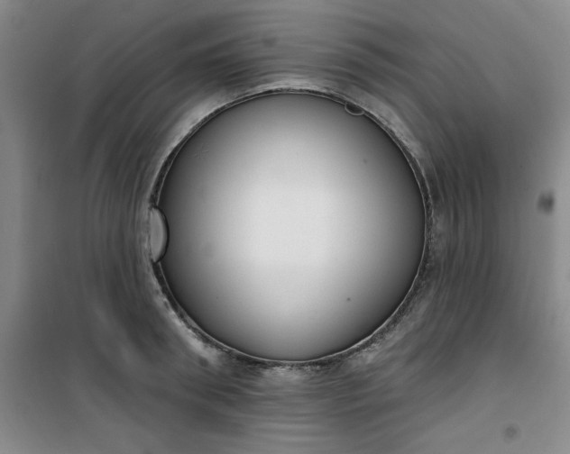 X0000101150898200807111003