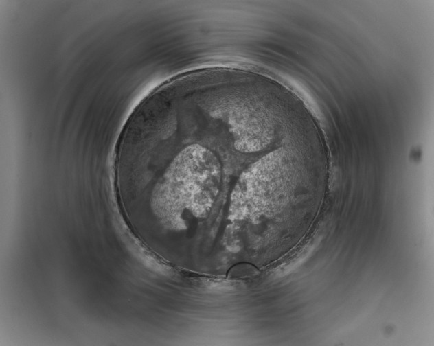 X0000101150899200807111003