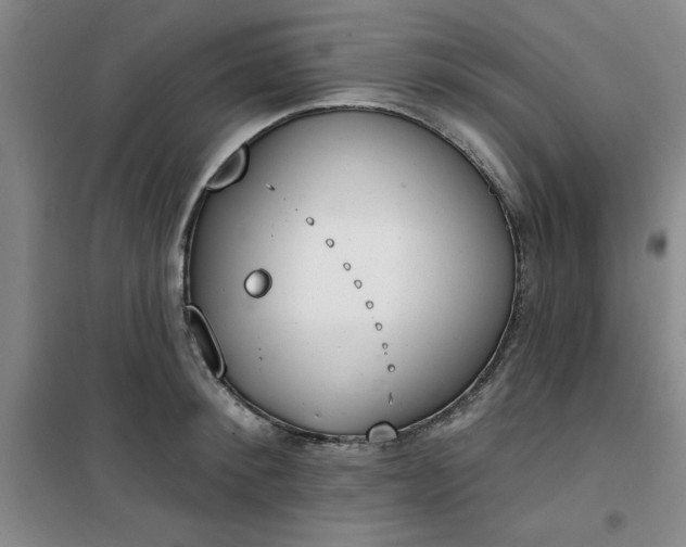 X0000101150900200807111003