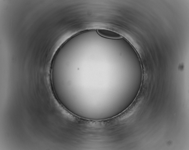 X0000101150901200807111003