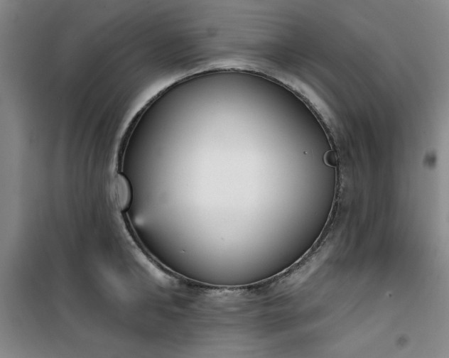 X0000101150902200807111003