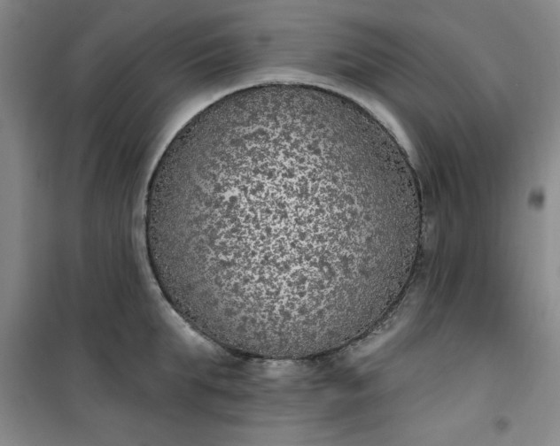 X0000101150903200807111003