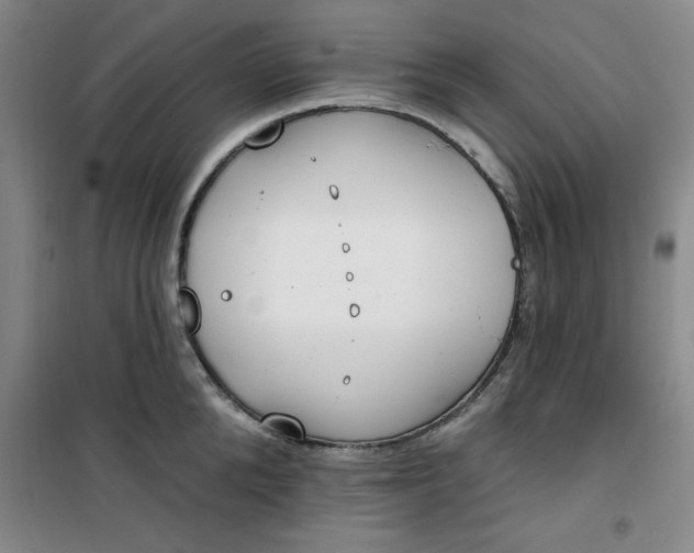 X0000101150904200807111003