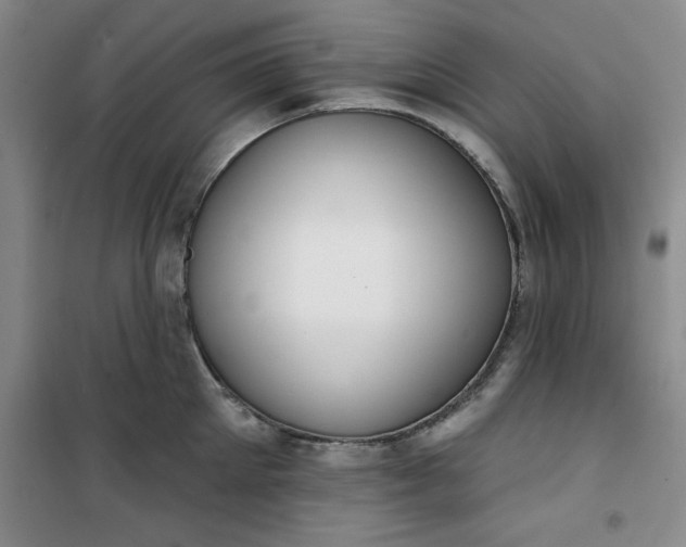 X0000101150905200807111003