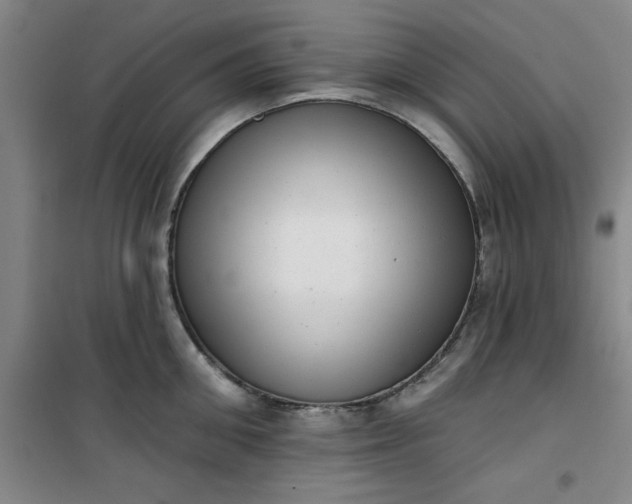 X0000101150906200807111003