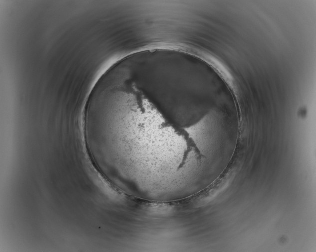 X0000101150907200807111003