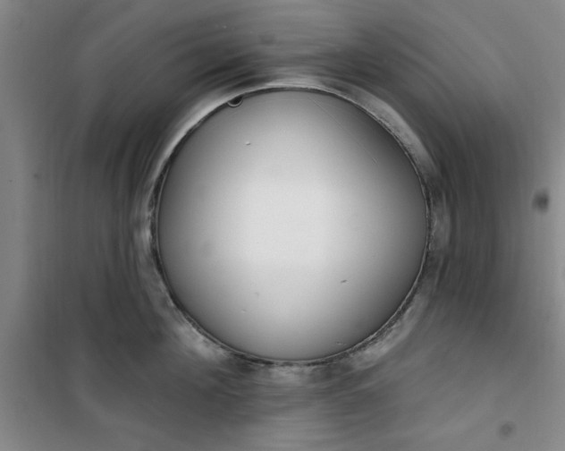 X0000101150908200807111003