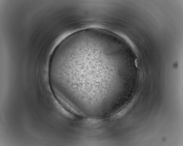 X0000101150910200807111003