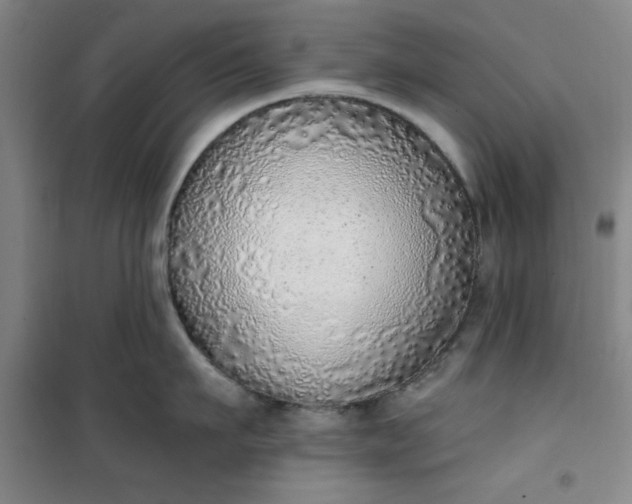 X0000101150911200807111003