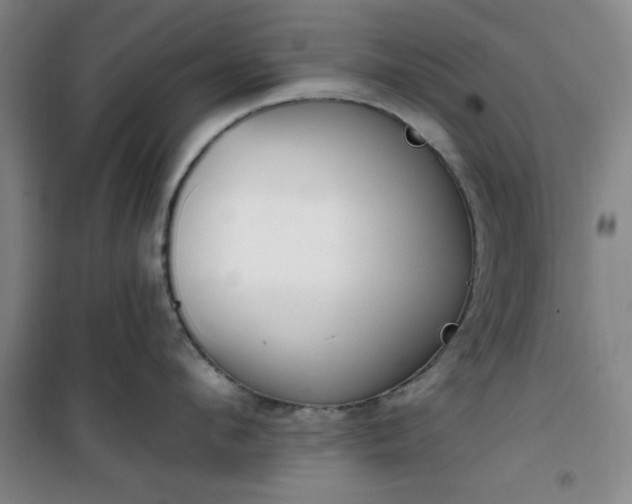 X0000101150912200807111003