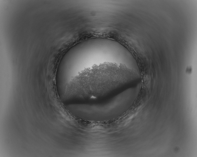 X0000101150913200807111002