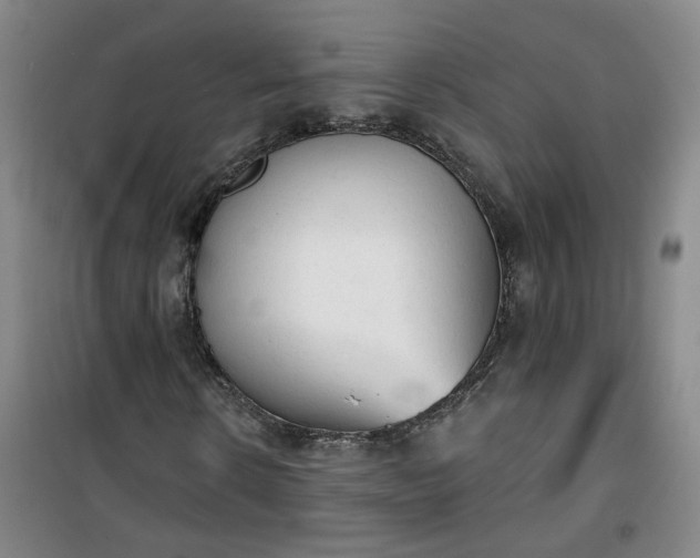 X0000101150914200807111002