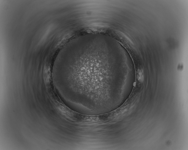 X0000101150915200807111002