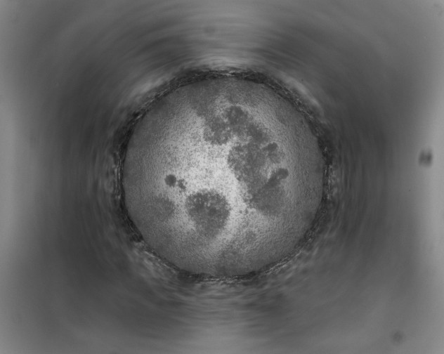 X0000101150917200807111002